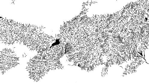 map1.gif (37k)