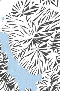 c1.gif (13k)